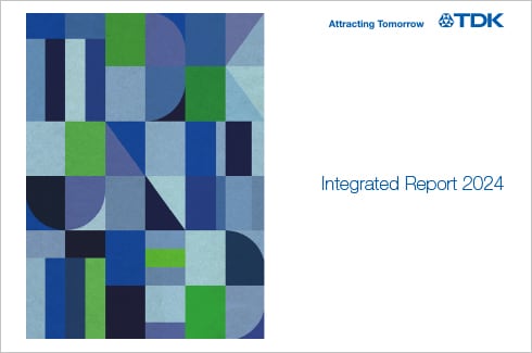 Integrated Report 2024