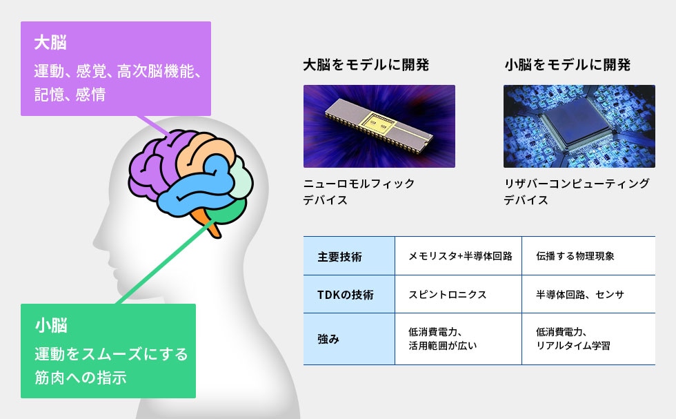 大脳・小脳をモデルとしたデバイスの比較図