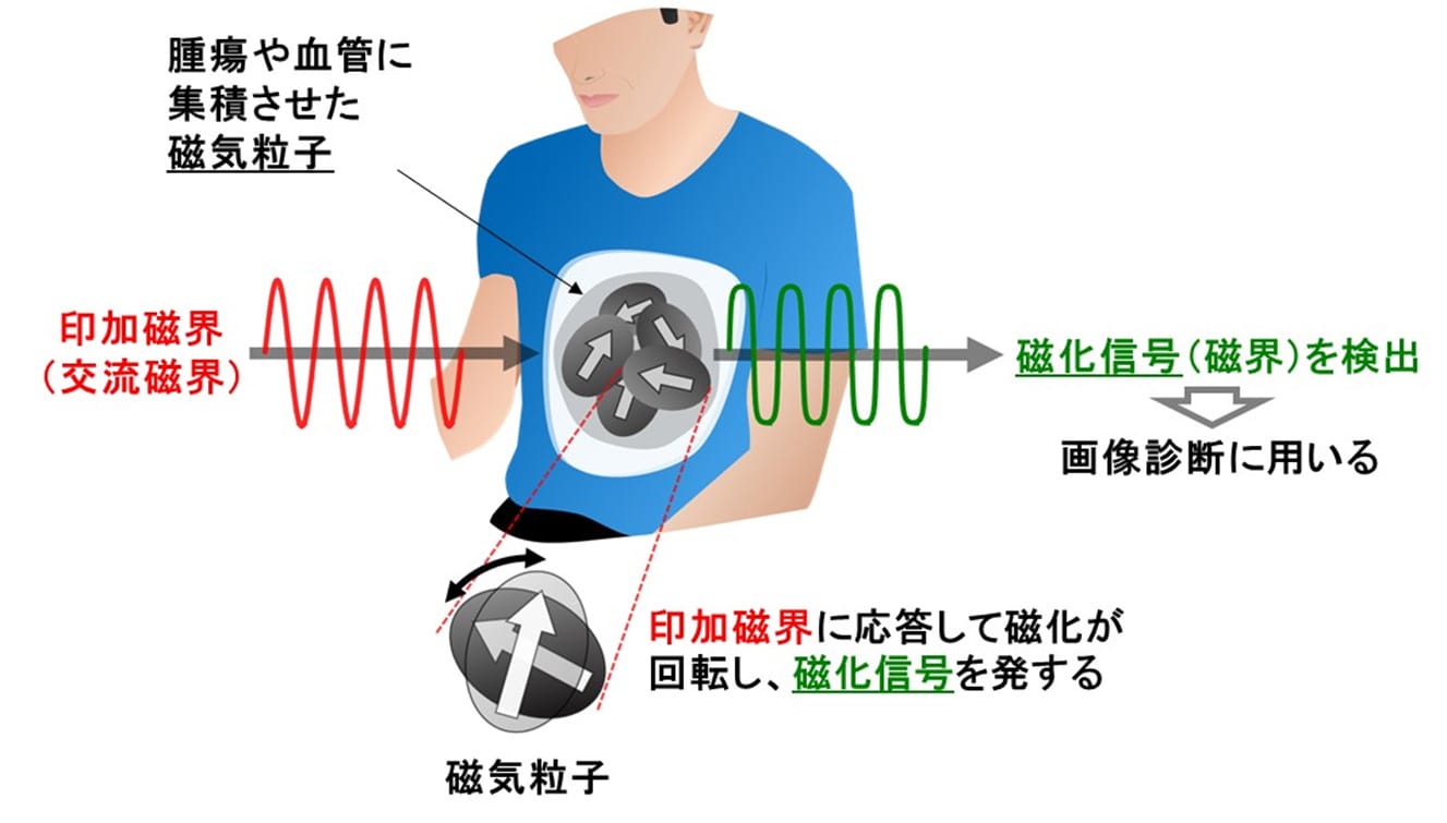 図1