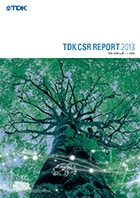 CSR Report 2013