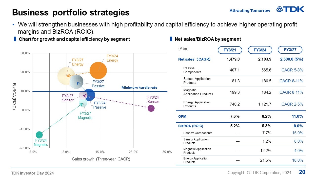 Business portfolio strategies