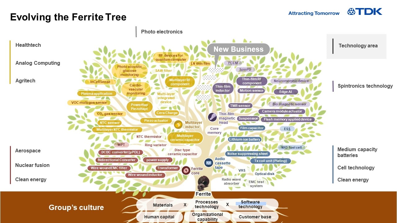 Evolving the Ferrite Tree