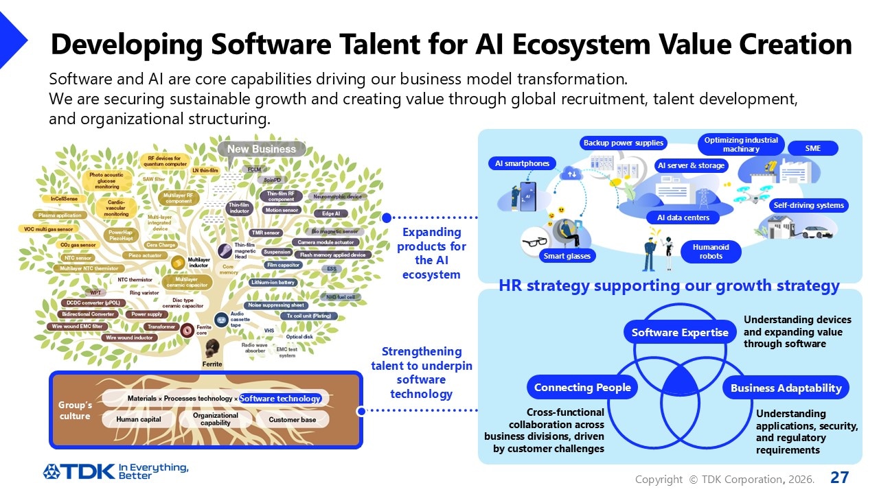 Developing Software Talent for AI Ecosystem Value Creation