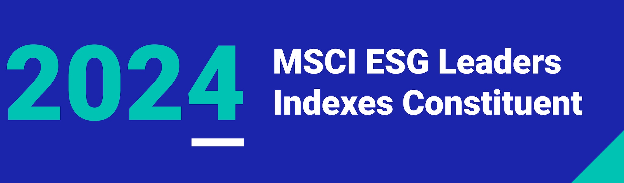 MSCI 2024