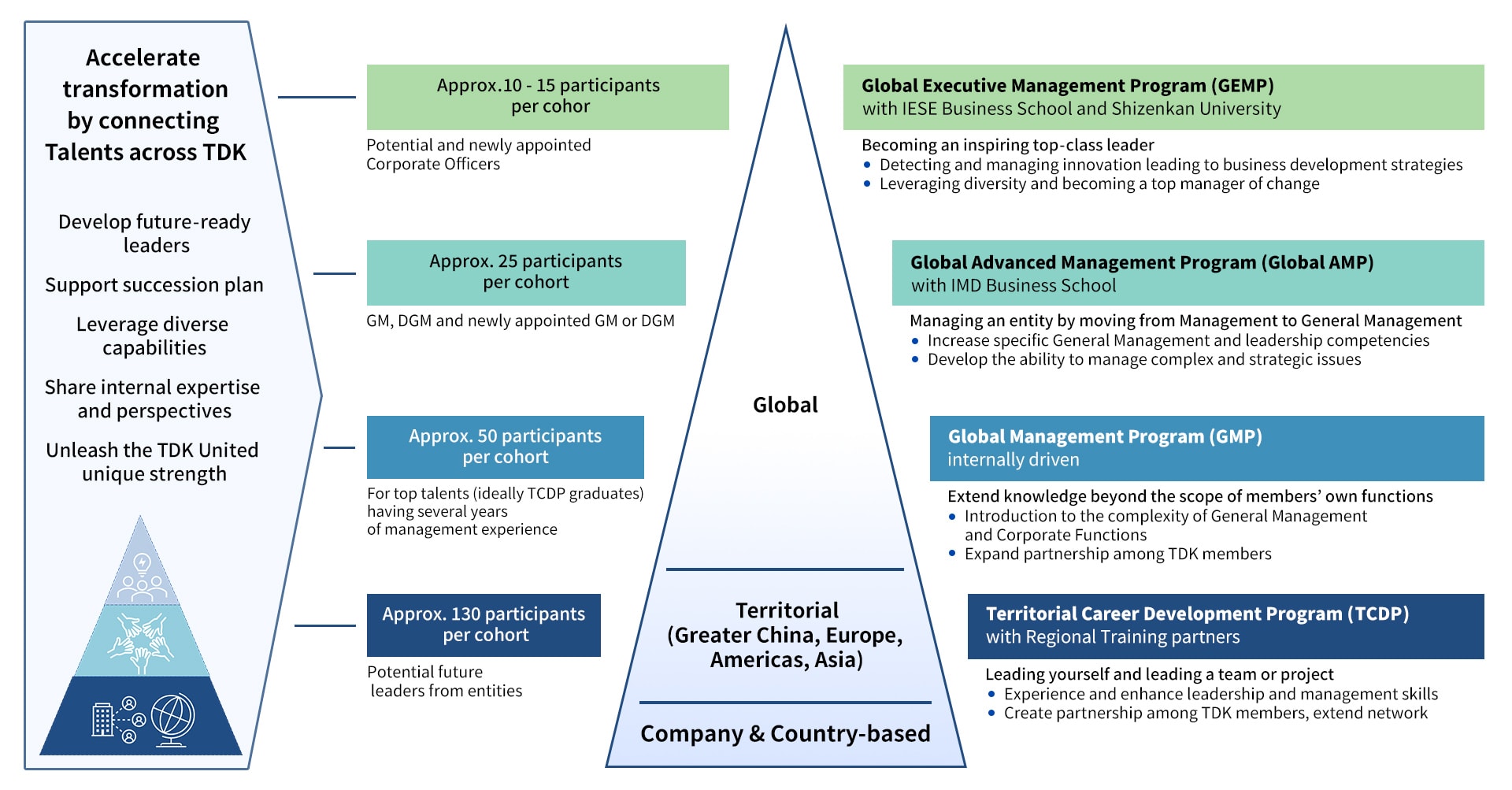 Global Management Development Programs Overview