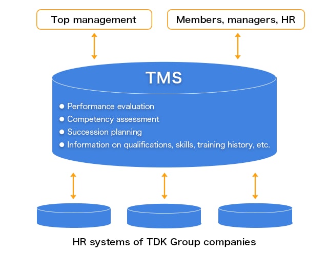 Conceptual chart of TMS