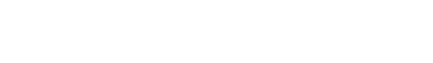 TDK WITHIN