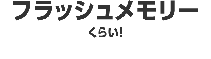 フラッシュメモリーくらい！